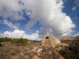 2007