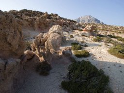 2007