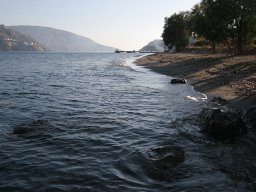 2015