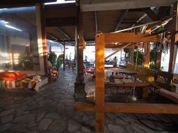 IMG_7245