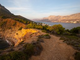 IMG_7453